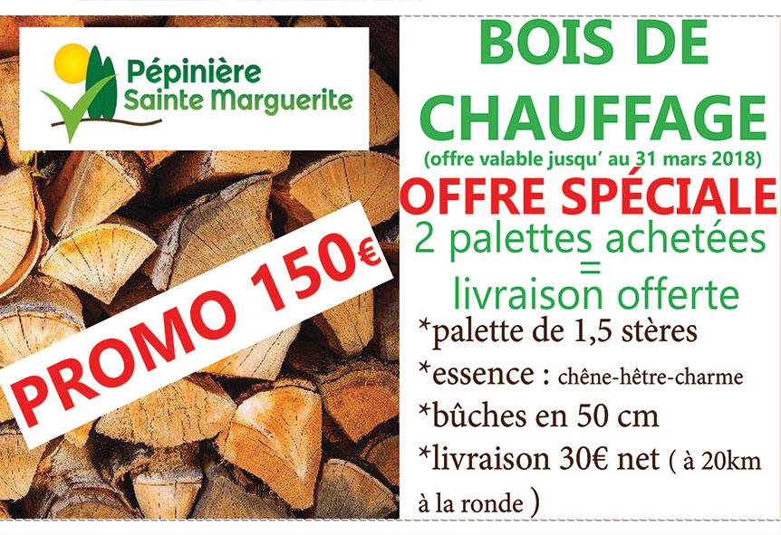 Proxi Bon Plan Pépinière Sainte Marguerite Grasse Réduction